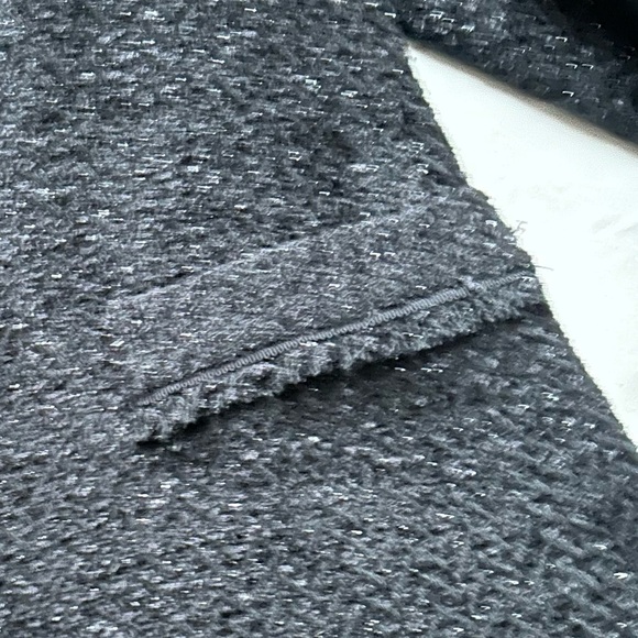 Massimo Dutti Sparkling Blazer - Picture 5 of 6